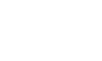 Honda Generators - TBM